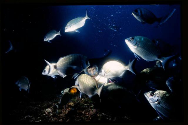 酒店 Villa Pimpina