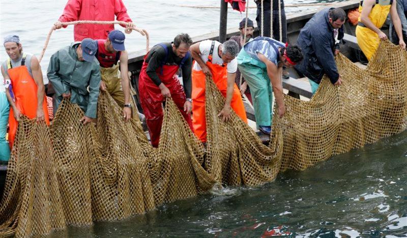 酒店 Villa Pimpina