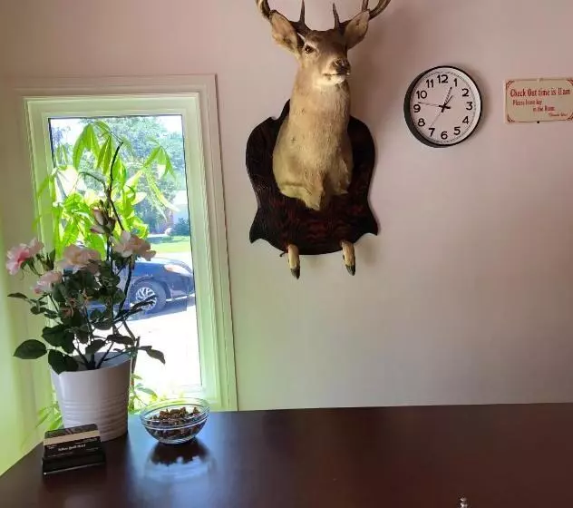 Yellow Quill Motel