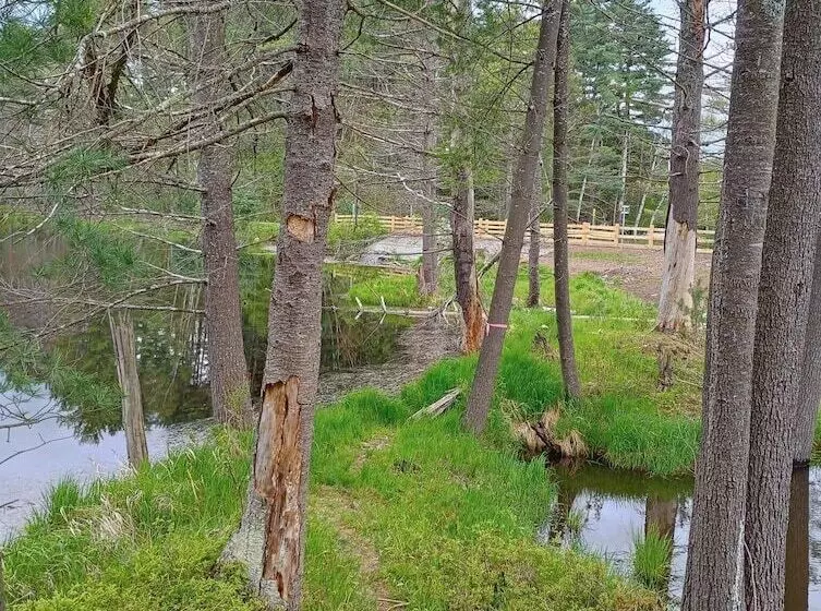 Retkeilymaja The Saints Suites At Nccc