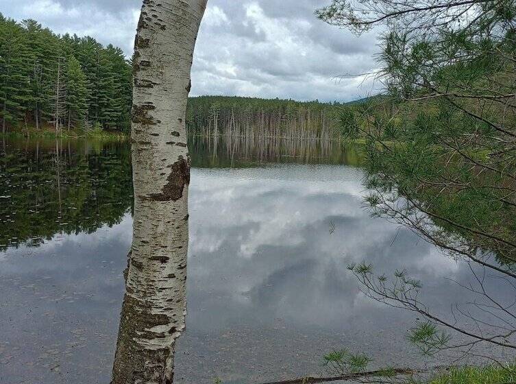 Retkeilymaja The Saints Suites At Nccc