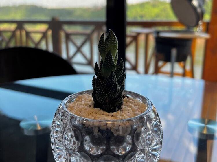 فندق Costa Del Sol Iguazú Suites