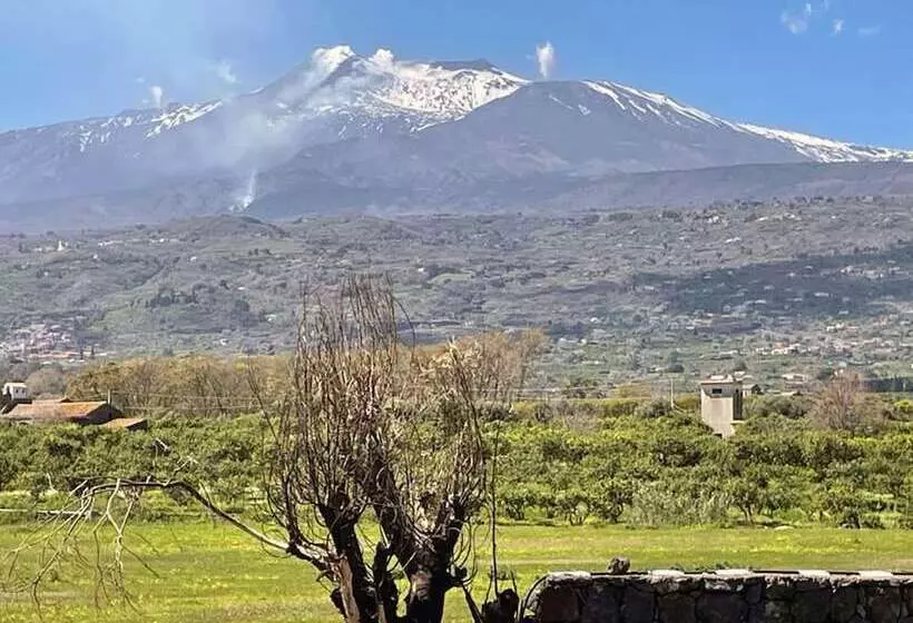 ペンション Le Decime