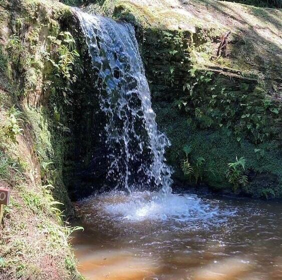 호텔 Pousada Candeias Ltda