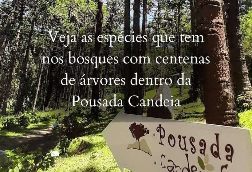 호텔 Pousada Candeias Ltda