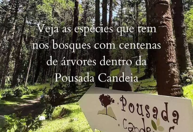 ホテル Pousada Candeias Ltda