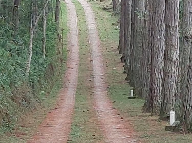 호텔 Pousada Candeias Ltda