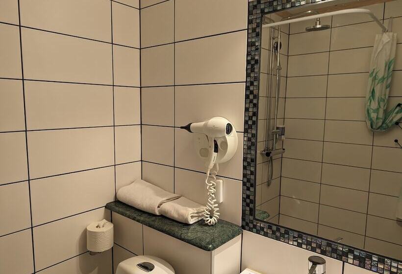 فندق Vansbro Camping