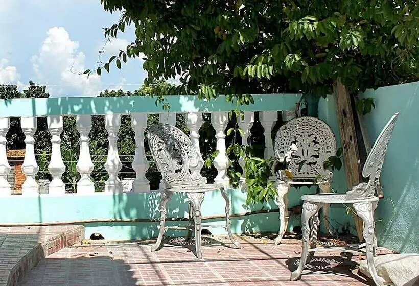 ペンション Hostal La Fruta Trinidad