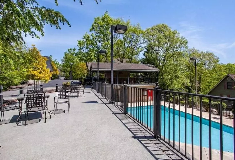 The Wacky Woodpecker By Avantstay Game Room, Private Hot Tub, & Pool Access!