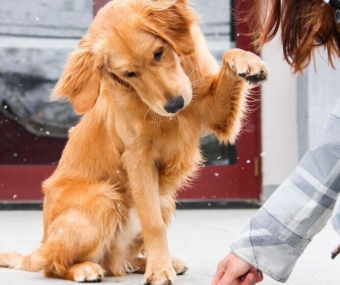 ユースホステル The Bunkhouse