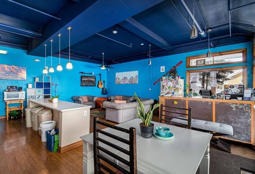 هاستل The Bunkhouse