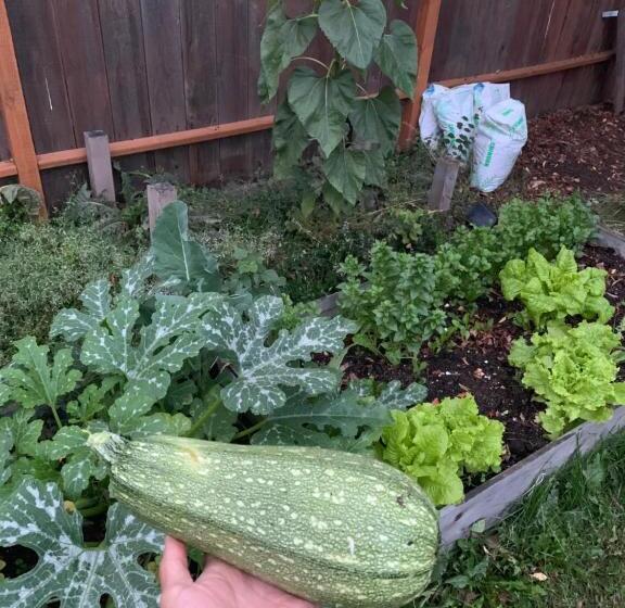 Base Camp Anchorage Hostel