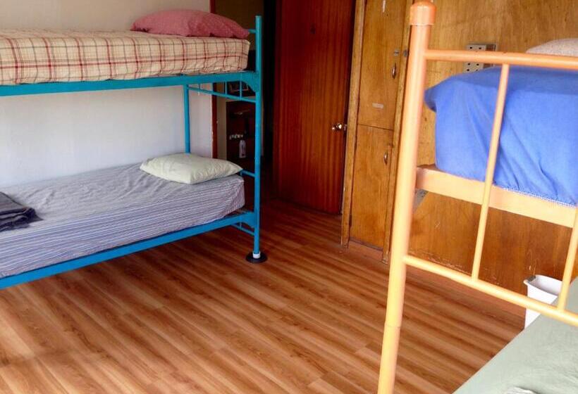 Base Camp Anchorage Hostel