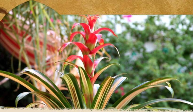 مبيت وإفطار El Morocco Inn & Spa