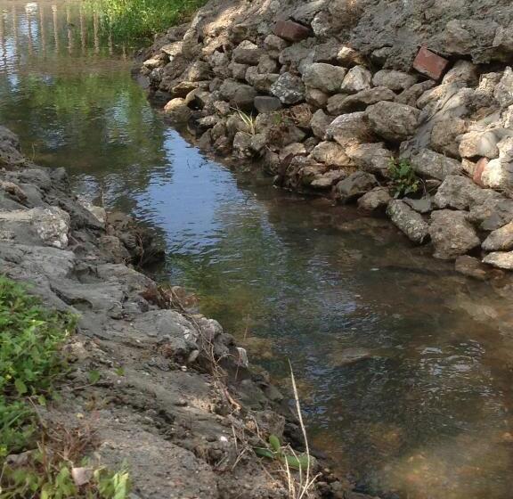 ベッドアンドブレックファースト Maple Creek Bed&breakfast