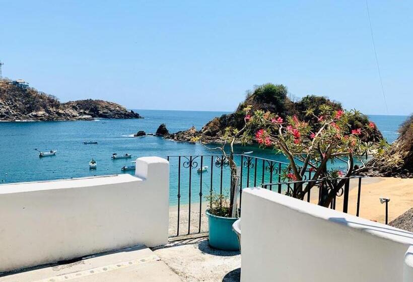 בית מלון כפרי Cordelia's