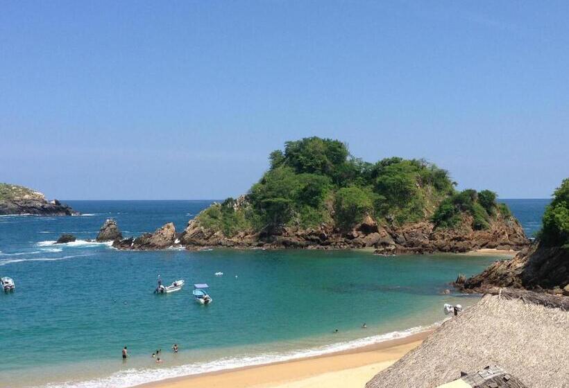 בית מלון כפרי Cordelia's