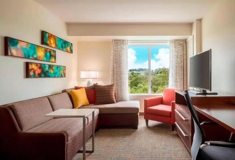 ホテル Residence Inn By Marriott Wheeling/st. Clairsville