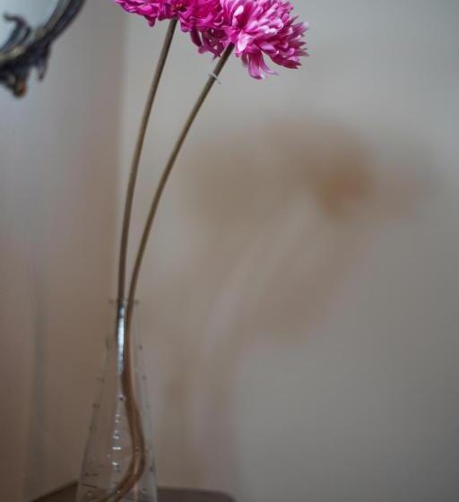 교외 호텔 Rural El Zaguán