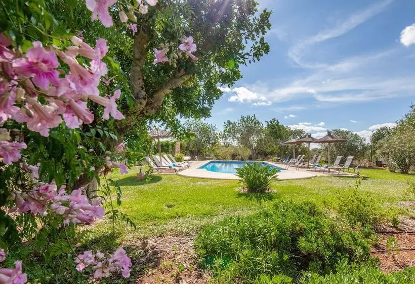 هتل Agroturismo Son Marimon