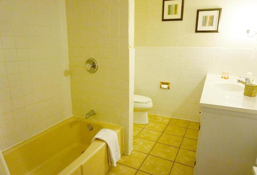 فندق Stay Saratoga