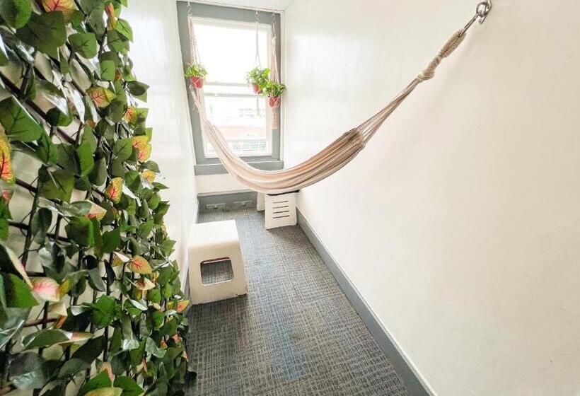 Ith Los Angeles Beach Hostel