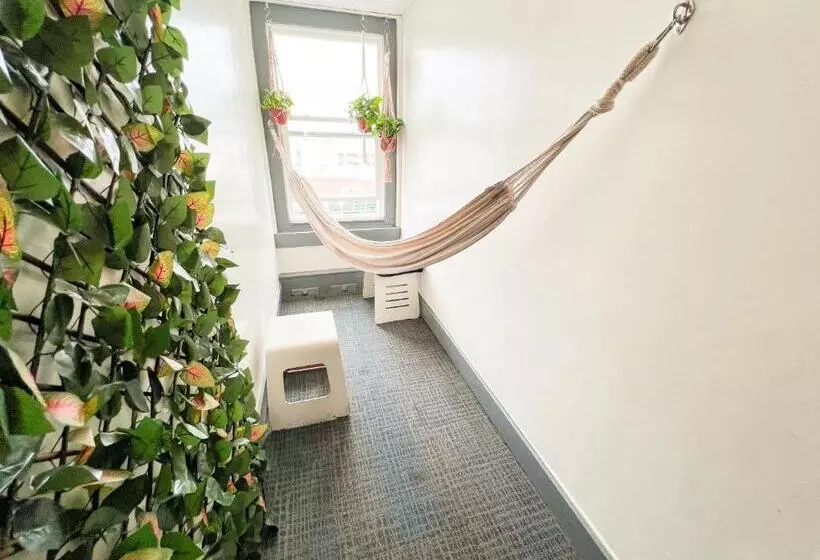 Ith Los Angeles Beach Hostel