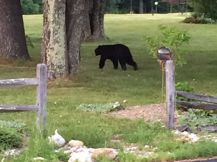 מוטל Aerie Inn Of Vermont