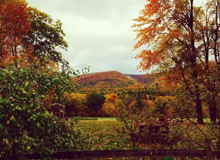 モーテル Aerie Inn Of Vermont