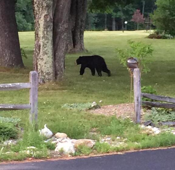 מוטל Aerie Inn Of Vermont