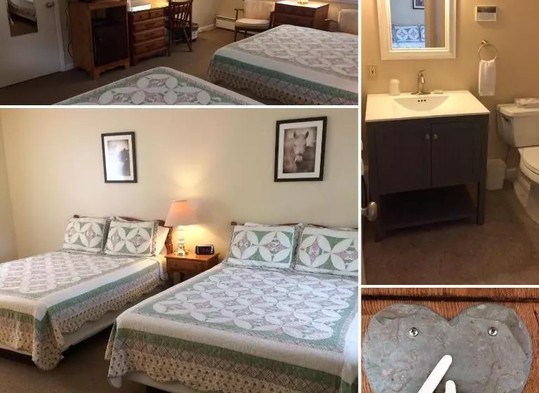 モーテル Aerie Inn Of Vermont