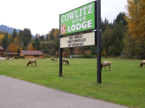 مُتل Cowlitz River Lodge