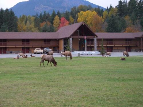 مُتل Cowlitz River Lodge