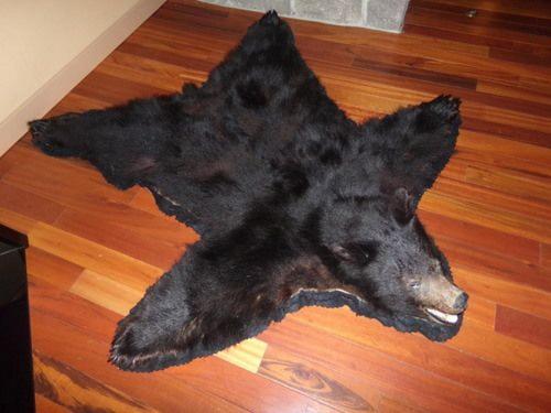 مُتل Cowlitz River Lodge