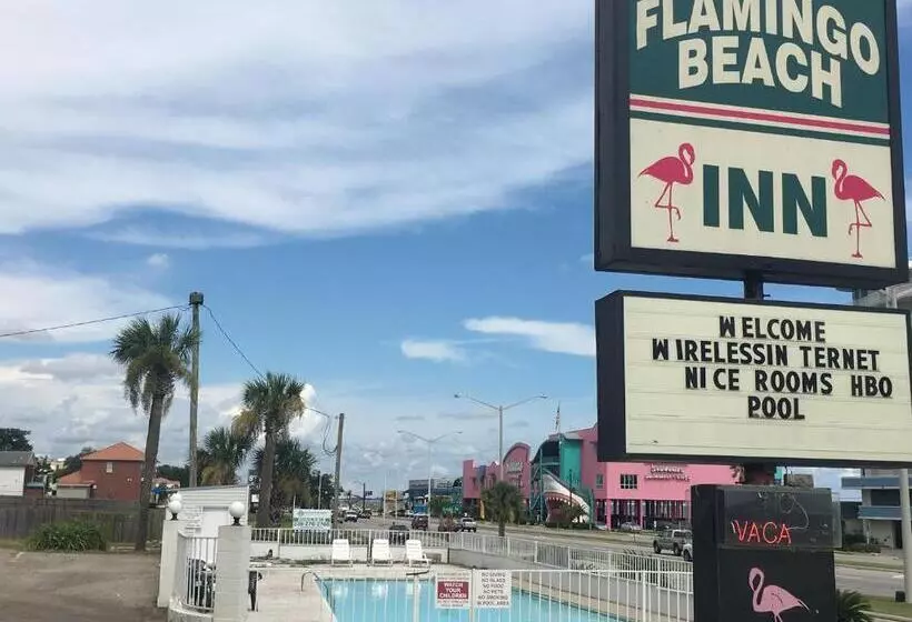 モーテル Flamingo Beach Inn