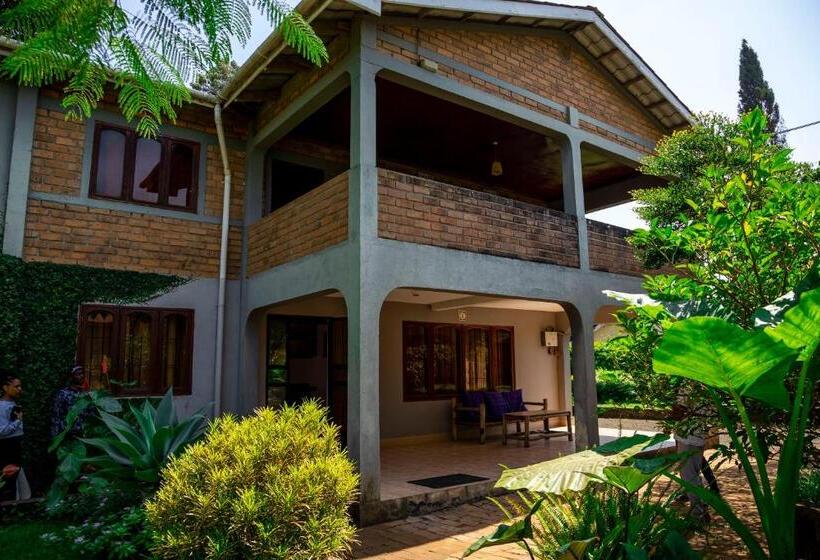 住宿加早餐  The Family Farm