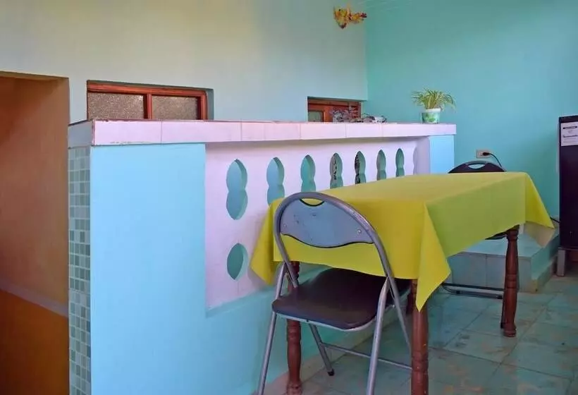 Hostal Rey 293