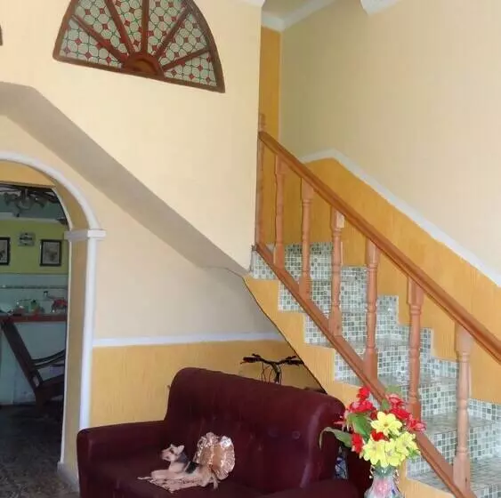 Hostal Rey 293
