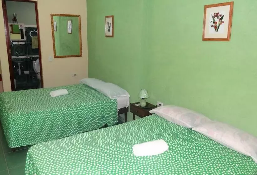 Hostal Rey 293