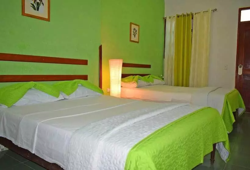 Hostal Rey 293
