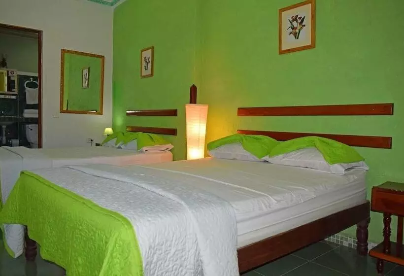 Hostal Rey 293