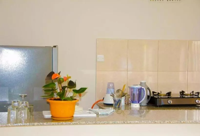 Aamiaismajoitus (B&B) Meuly Family Lodge