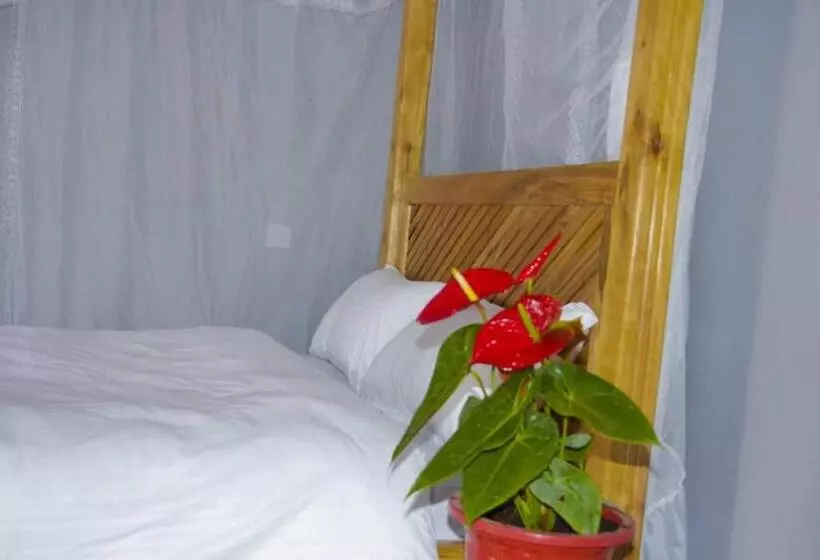 Aamiaismajoitus (B&B) Meuly Family Lodge