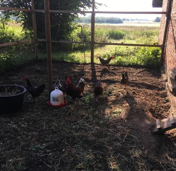 בית מלון כפרי Mjöholm