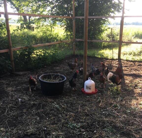 בית מלון כפרי Mjöholm