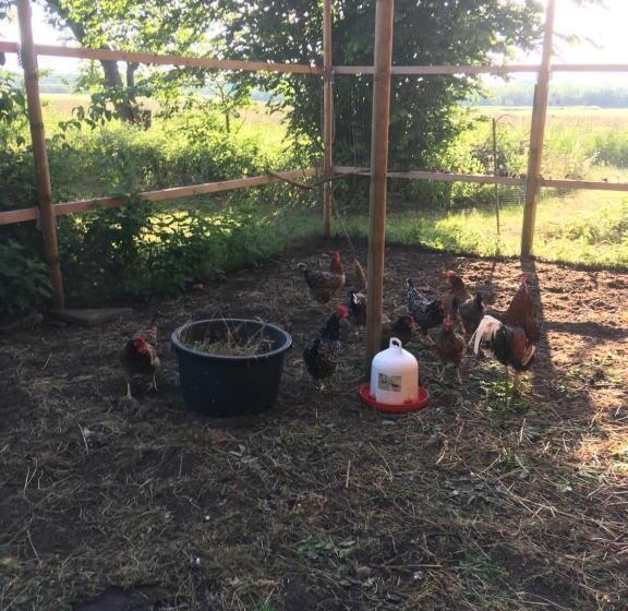 בית מלון כפרי Mjöholm