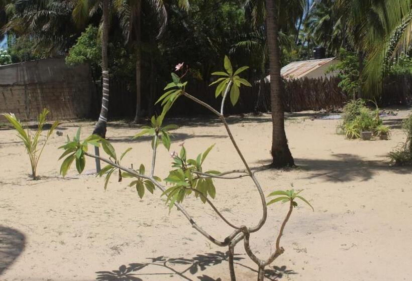 Hotel Sea Waves Kite Surfing Beach Resort