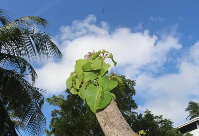 Hotel Sea Waves Kite Surfing Beach Resort