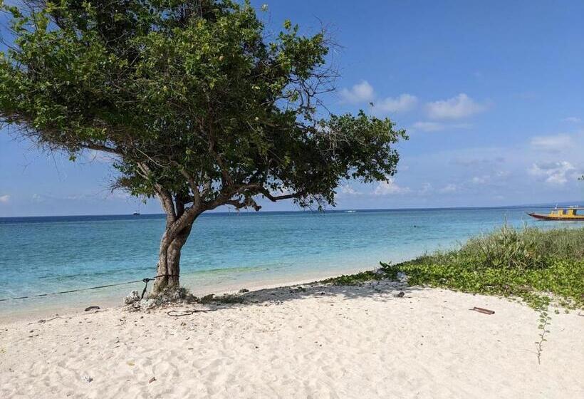 בית מלון כפרי The Beach House